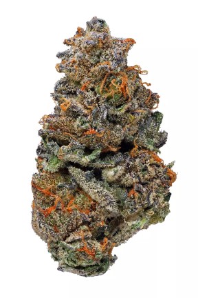 Girl-Scout-Cookies-1.jpg